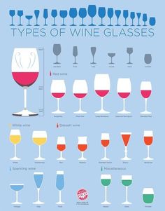 different types of wine glasses are shown in this diagram, with the names and colors