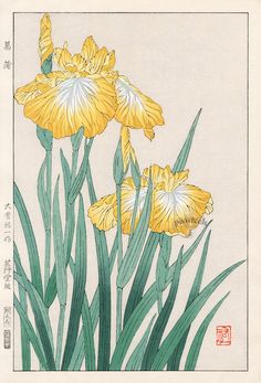 two yellow flowers with green leaves in front of a white background and chinese writing on the bottom