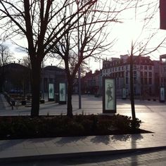 the sun shines brightly through some bare trees in front of a city square with benches