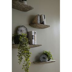 three stone shelves with plants and books on the top one is filled with rocks, while the other two are empty