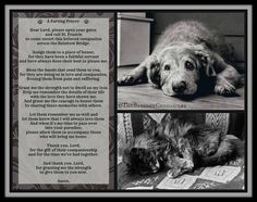 a dog laying on top of a wooden floor next to a sign that says the blessing prayer