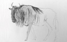 a drawing of an animal with long horns