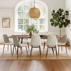 a dining room table with chairs and a potted plant