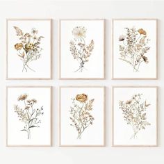 four framed botanical prints in various sizes and colors, each with different flowers on them