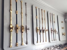 there are many different types of handles on the wall in this room, and one is gold