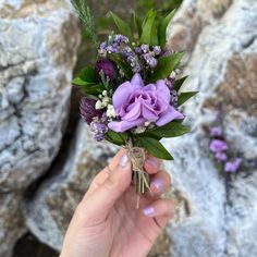 a hand holding a purple flower in front of some rocks and flowers on the ground