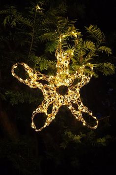 a lighted star ornament hanging from a tree