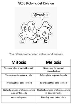 the differences in cell division between mitoxs and mesois are shown below