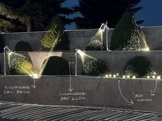 an outdoor area with lights and plants on the wall