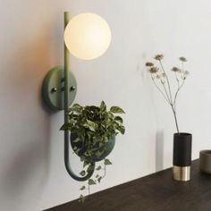 a potted plant is hanging on the wall next to a lamp and some vases