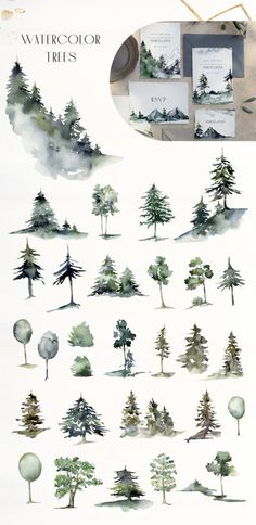 watercolor trees are shown in different colors and sizes, with the same amount as each tree