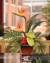 a potted plant sitting on top of a table