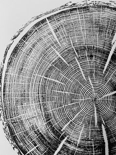 an abstract black and white image of a tree trunk with circles in the center on it