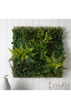 a green wall mounted to the side of a white wall with plants growing on it