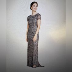 Adrianna Papell Scoop Back Sequin Gown In Lead Nwt! Glamorous Short Sleeve Gown For Evening, Glamorous Short Sleeve Evening Gown, Glamorous Short Sleeve Maxi Dress For Wedding, Bride Dress Up, Beaded Formal Dress, Gown Gold, Silver Gown, High Low Maxi Dress, Maxi Gown Dress