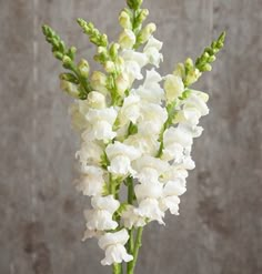 white flowers in a glass vase on a wooden table next to a concrete wall and floor