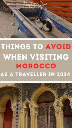 a cat sitting in the back of a boat with text overlay reading things to avoid when visiting morocco as a traveler in 2014