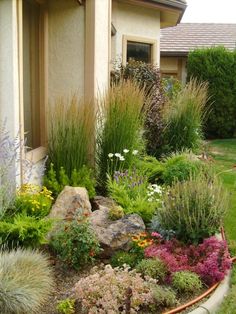 a garden with lots of plants and rocks in the front yard, next to a house