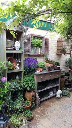 an outdoor garden area with potted plants and pots on the shelf, including flowers