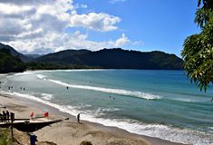 people are on the beach and in the water