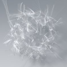 an abstract photograph of white feathers against a gray background