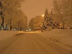 a snowy road with trees and street lights in the distance, at night or early evening