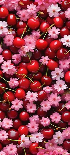 cherry blossoms and cherries are arranged together