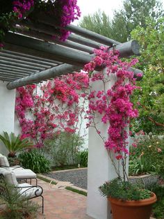 pink flowers are growing on the side of a white building with a pergolated roof