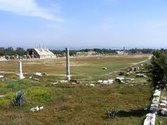 an ancient city with ruins and trees in the foreground