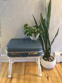 a blue suitcase sitting on top of a wooden floor next to a potted plant