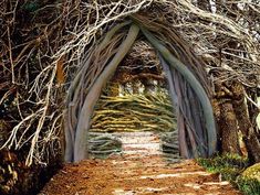 an arch made out of branches in the middle of a dirt path surrounded by trees