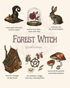 Witchy Practices, Forest Witch Aesthetic, Spell Ideas, Herbal Hair Rinse, Couple Cards, Witch's House, Nature Witch, Green Witchcraft, Art Witch