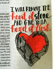 Illustrated Bible, Heart Of Stone, Tender Heart