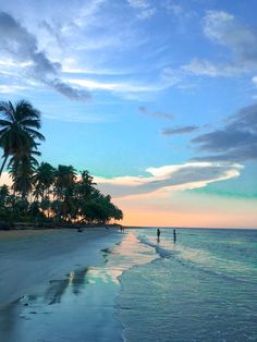 two people are walking along the beach at sunset with palm trees in the foreground