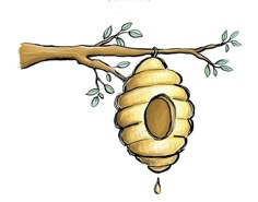 a drawing of a beehive hanging from a tree branch, with the words honey on it