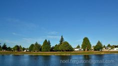 a body of water with houses in the background and trees around it on a sunny day