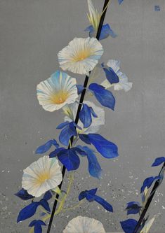 blue and white flowers against a gray background