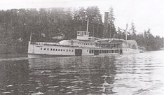 a large white boat floating on top of a lake next to tall pine covered trees