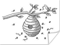 a drawing of a beehive hanging from a tree branch with leaves on it