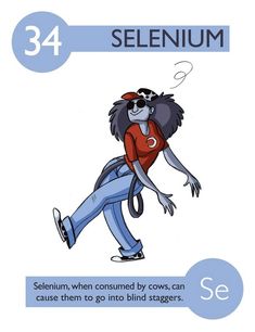 an image of a cartoon character with the words selenium written in english and spanish