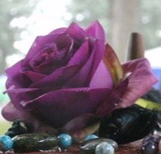 a purple rose sitting on top of a table next to rocks and beads in front of a window