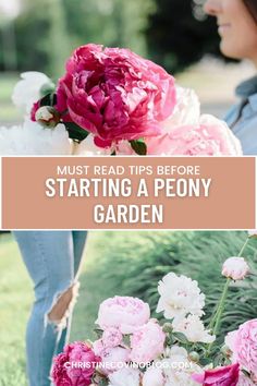 the words must read before starting a peony garden are shown in pink and white flowers