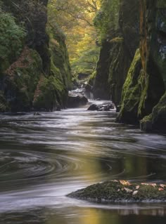 a river flowing through a lush green forest filled with rocks and trees in the fall