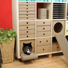 a black and white cat laying on top of a chair in front of a bookcase