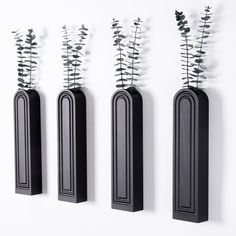 three black vases with plants in them on a white wall next to each other