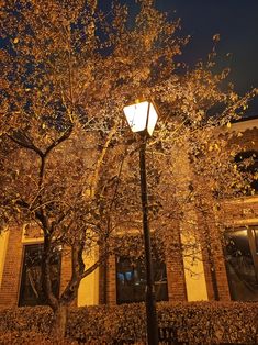 a lamp post in front of a tree with yellow leaves on it at night time