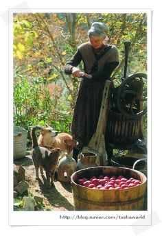 an old woman is picking apples out of a bucket and another dog looks at her