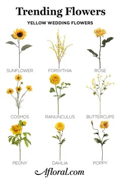 flowers that are yellow and have different names