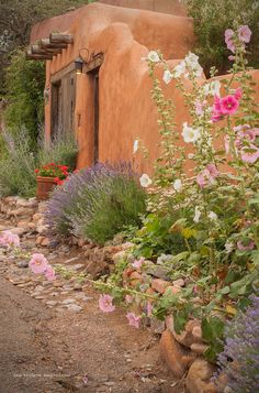 an adobe - style house with pink and white flowers in the foreground