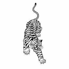 a black and white drawing of a tiger on one leg with its tail curled in the air